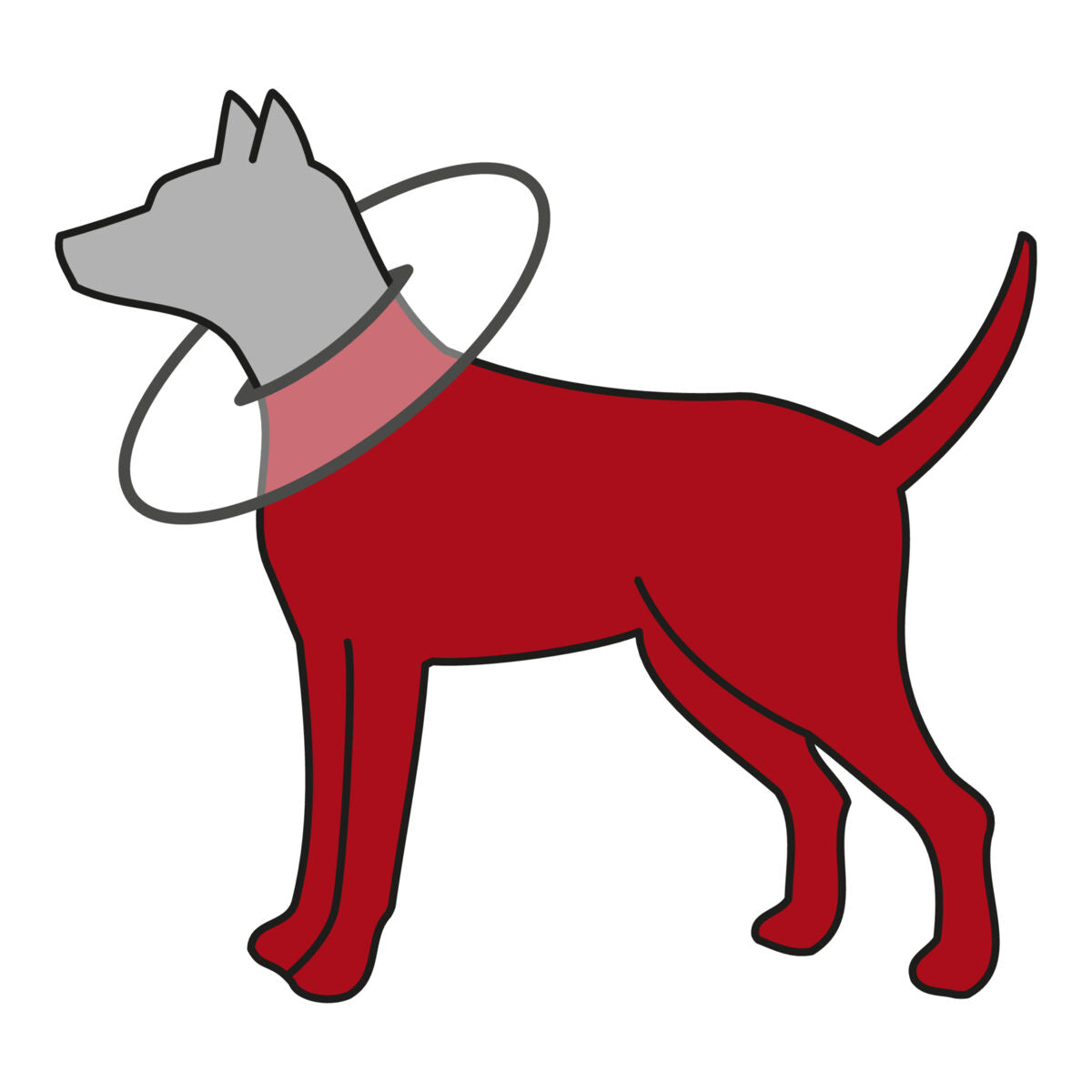 Grafische Darstellung eines Hundes in Rot mit einem grauen Schutzkragen um den Hals.