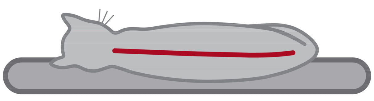 Graue grafische Darstellung einer liegenden Katze mit einem roten Streifen auf der Seite.