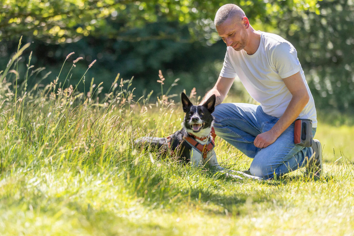 Ein Mann kniet neben einem schwarz-weißen Hund, der ein Geschirr trägt, auf einer Wiese.