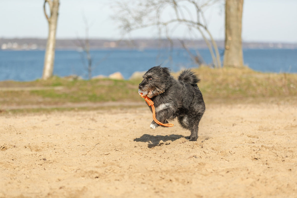 Hundespielzeug Light & Strong Ball aus EPS mit Tau