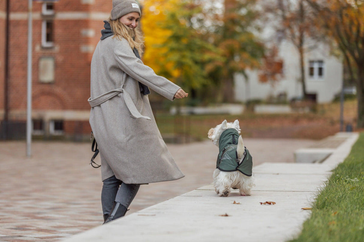 Eine Frau mit grauem Mantel spielt mit einem kleinen Hund in grüner Jacke auf einem Gehweg.