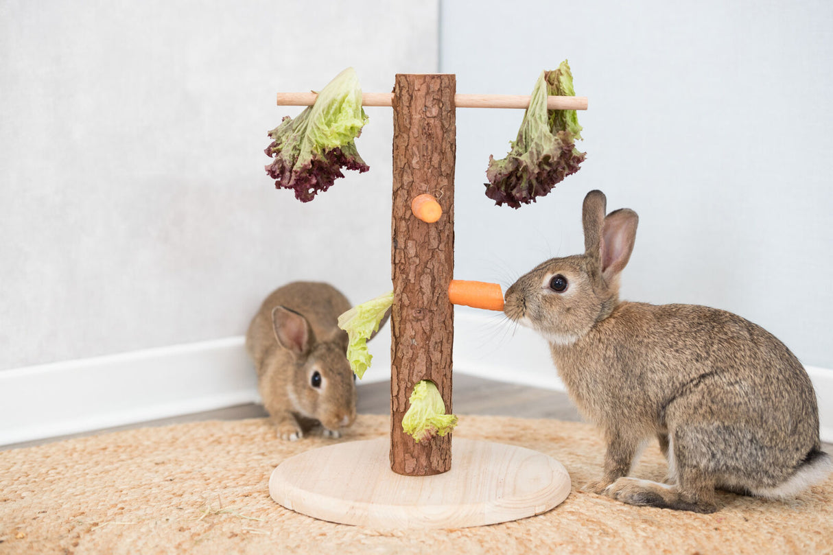 Zwei Kaninchen fressen an einem Holzspielzeug mit Karotten und Salatblättern.