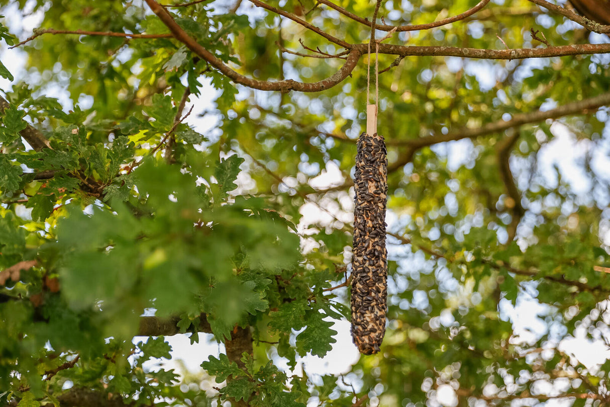 Vogelfutterschale hängt an einem Ast in einem Baum mit grünen Blättern unter blauem Himmel.