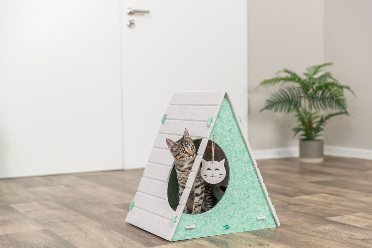 Eine Katze sitzt in einem dreieckigen, grünen und grauen Spielhaus auf Holzfußboden.