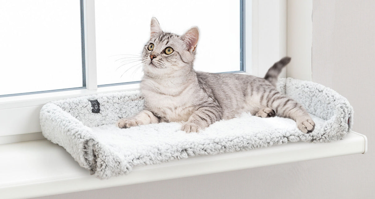 Graue Katze liegt auf weißem, flauschigem Kissen auf einer Fensterbank und blickt nach oben.