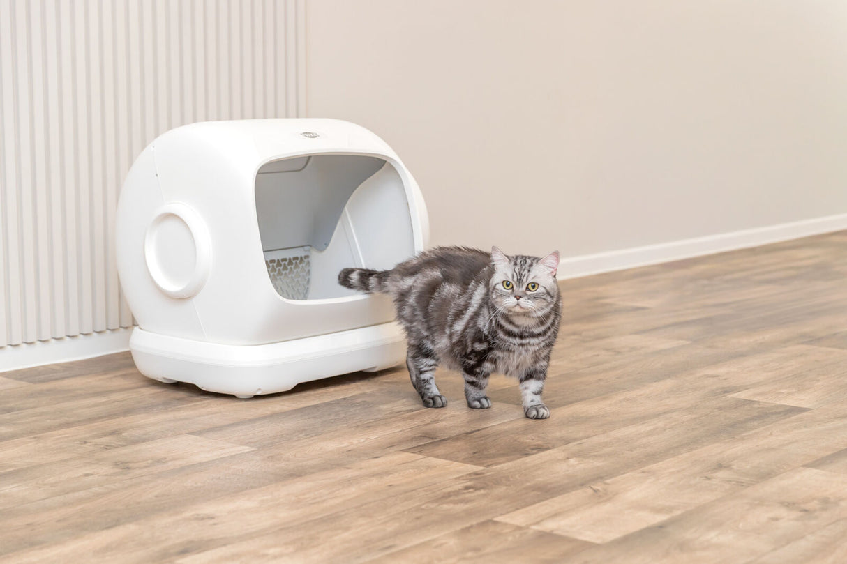 Selbstreinigende Katzentoilette XL mit breiter Öffnung für große Katzen
