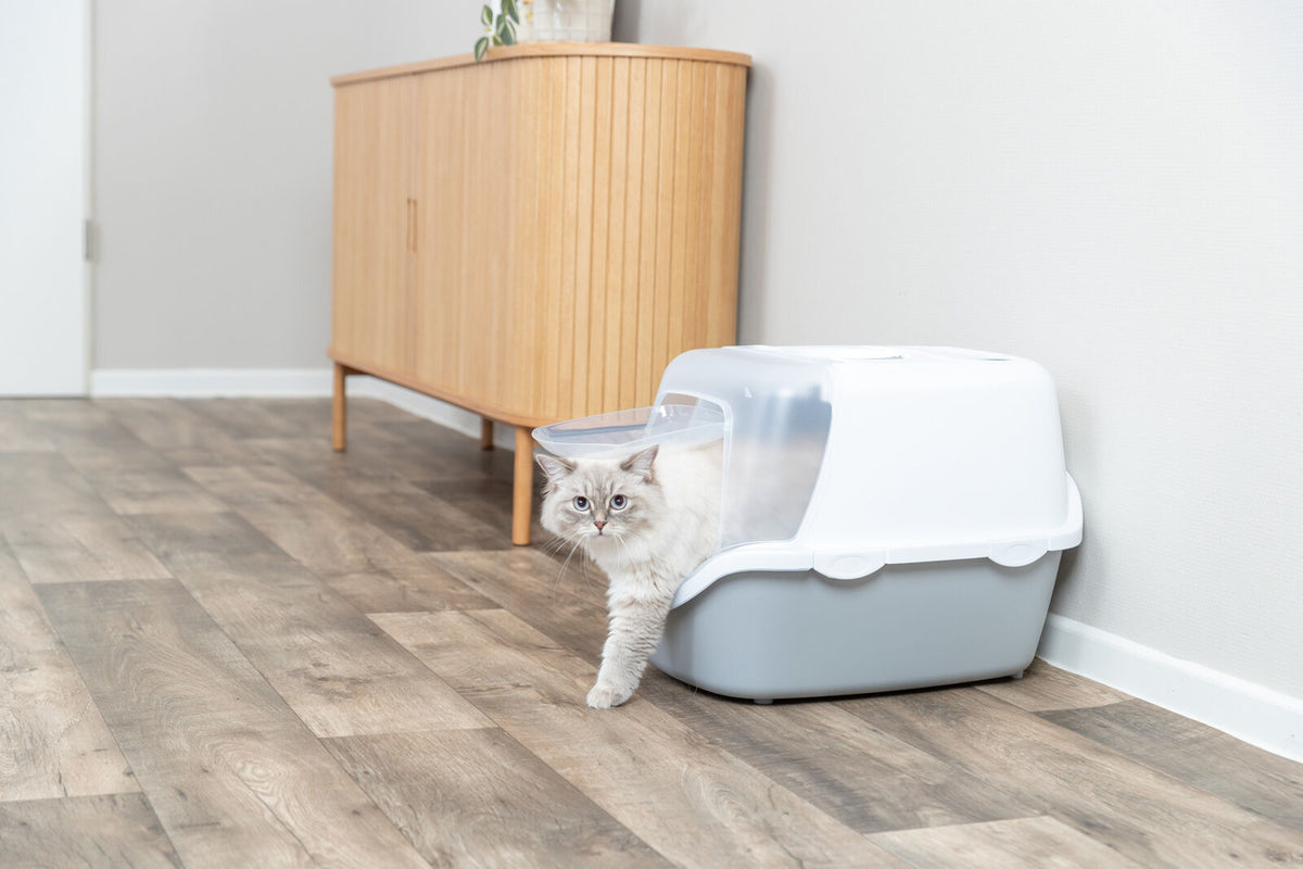 Eine Katze verlässt eine geschlossene Katzentoilette, die auf einem Holzboden vor einem Holzschrank steht.