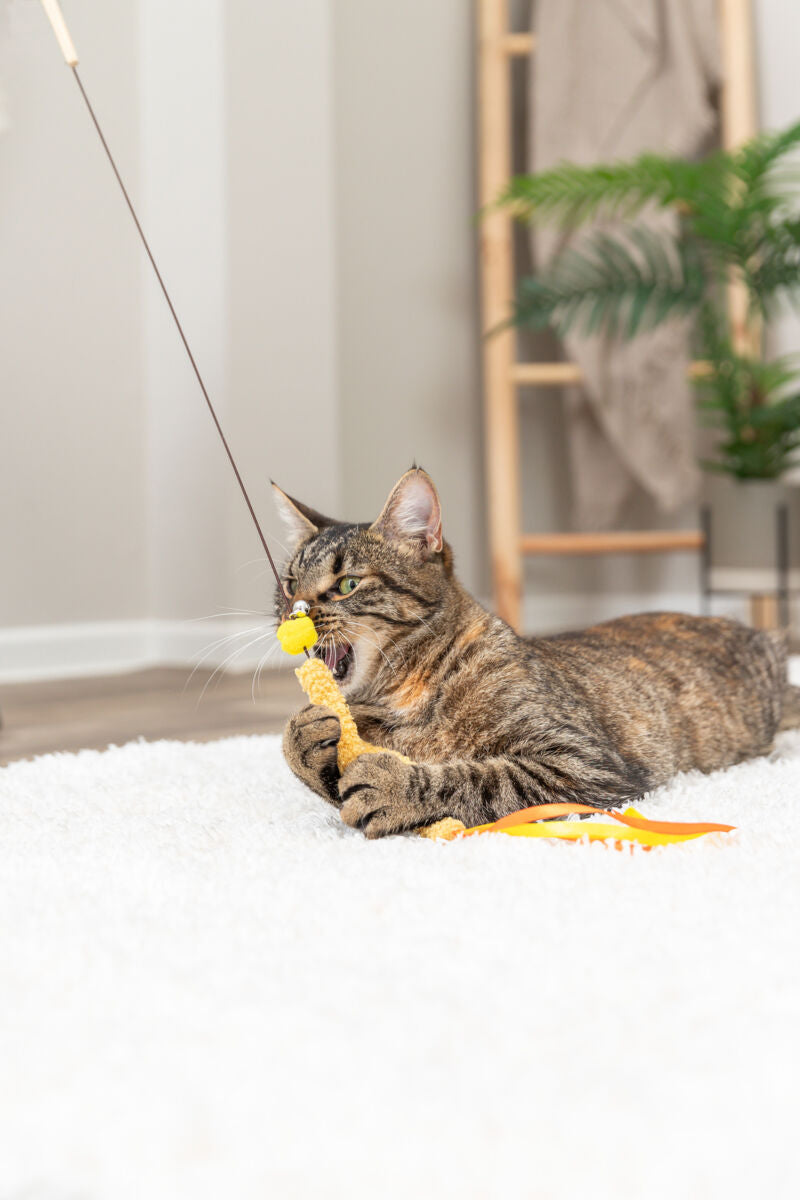 Eine getigerte Katze spielt auf einem weißen Teppich mit einem gelben Spielzeug an einer Schnur.
