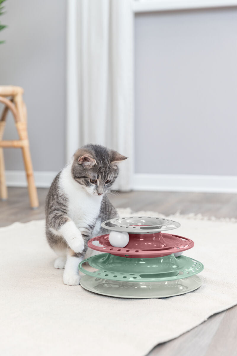 Eine getigerte Katze spielt mit einem mehrfarbigen Spielzeug auf einem hellen Teppich in einem Raum.