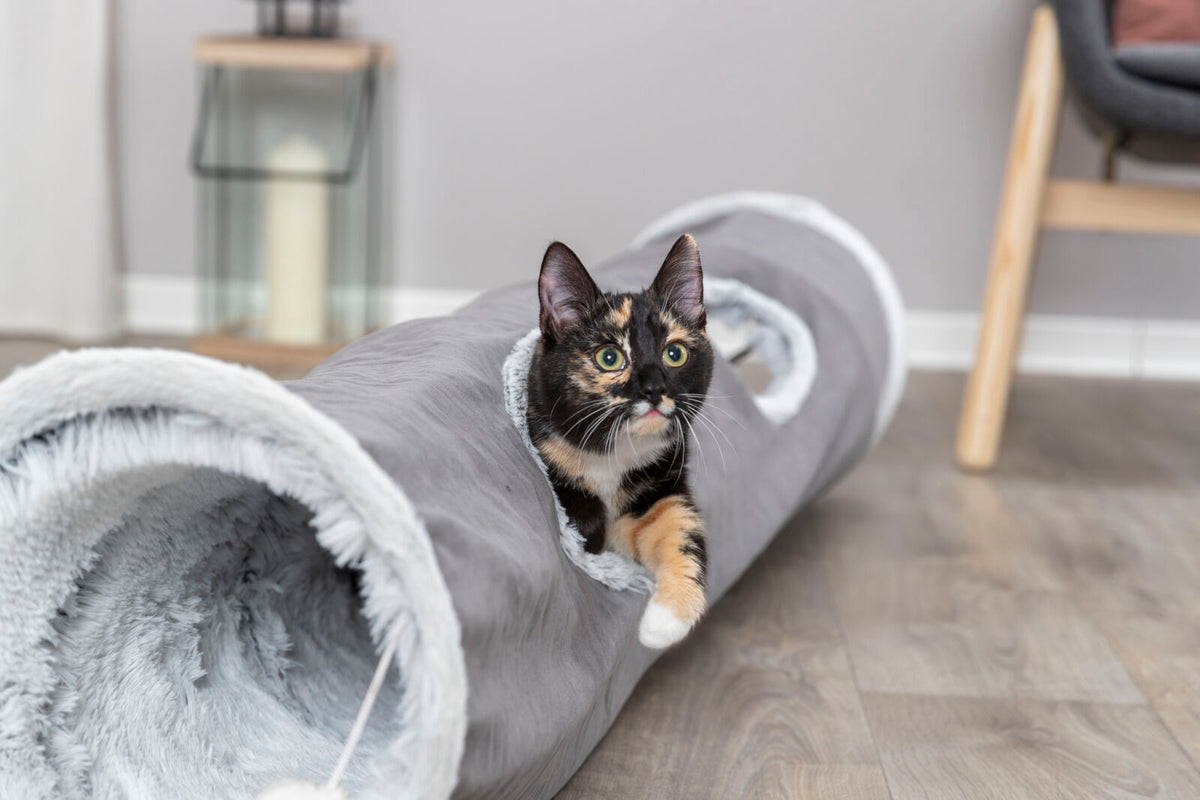 Eine Katze schaut aus einem grauen, plüschgefütterten Tunnel hervor, der auf einem Holzboden liegt.