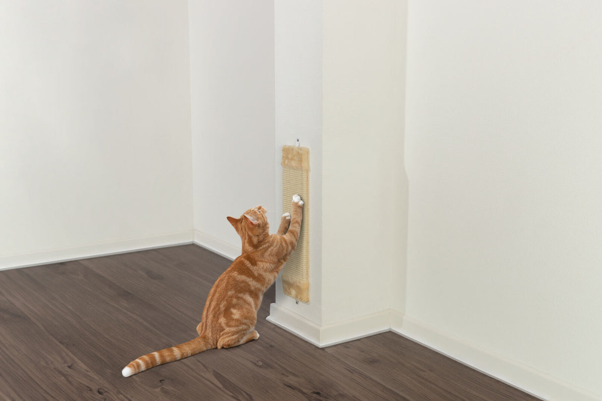 Eine orange Katze kratzt an einem beige Kratzbrett, das an einer weißen Wand in einer Zimmerecke befestigt ist.