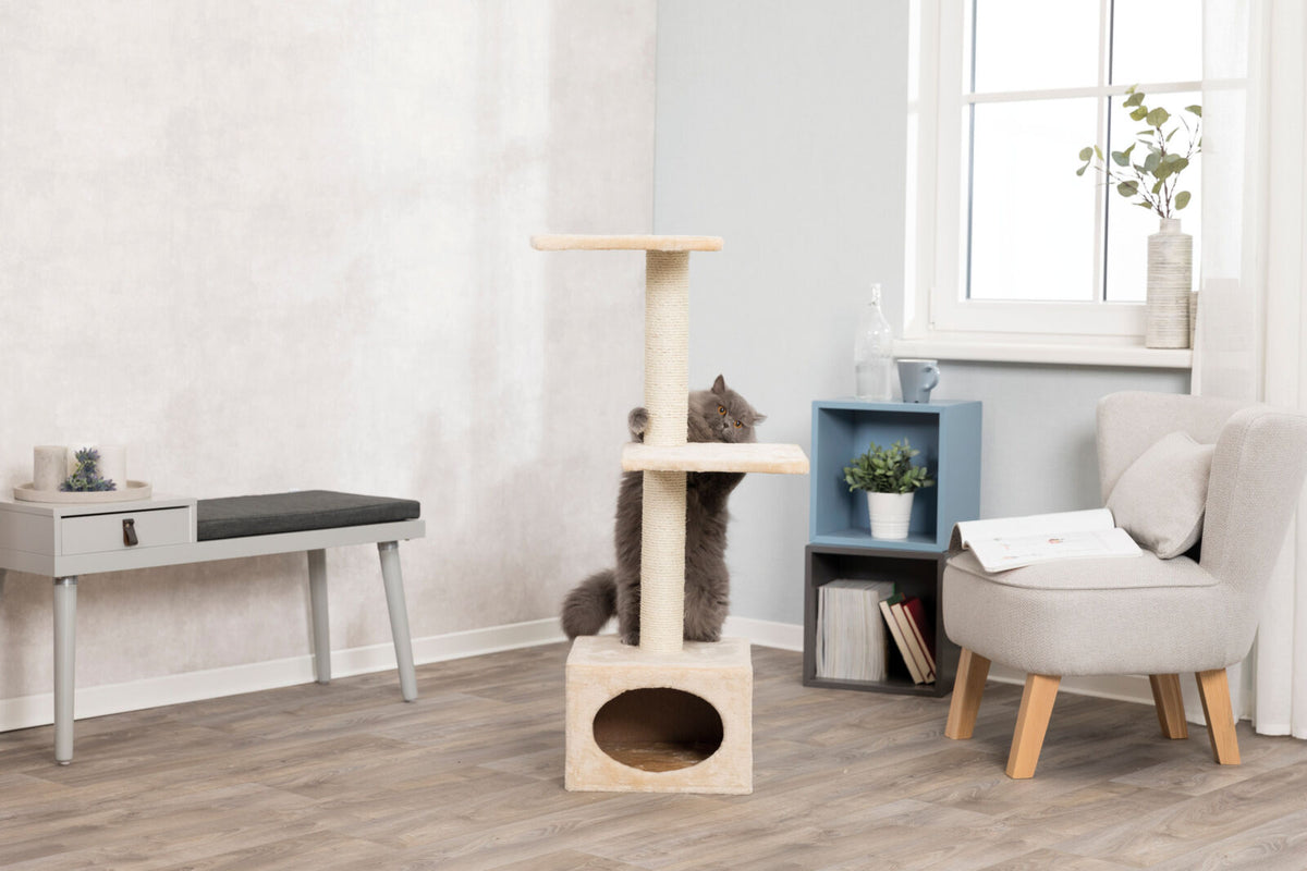 Kletterbaum mit Katze in modernem Raum neben grauem Stuhl, Regal mit Pflanzen und Büchern, und Bank mit Dekorationen.