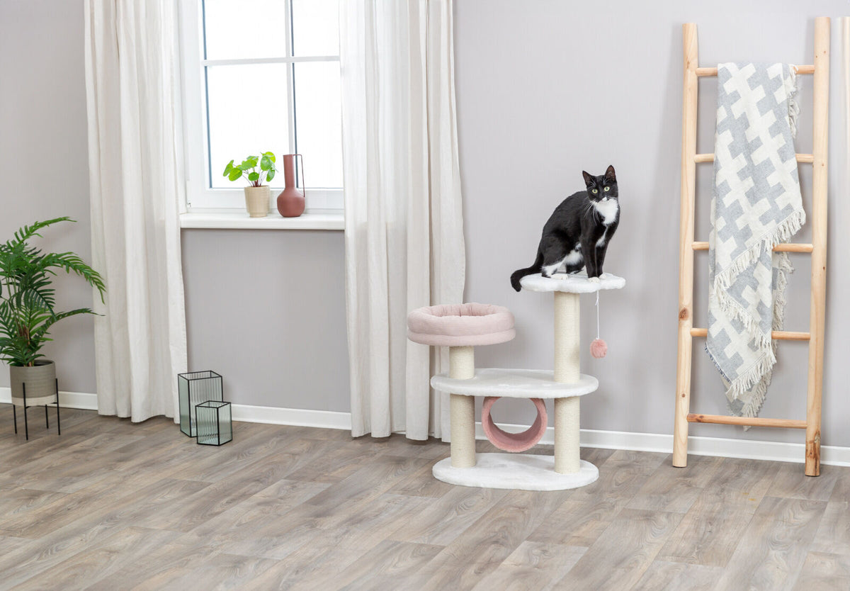 Eine schwarz-weiße Katze sitzt auf einem beige-beigen Kratzbaum in einem hellen Raum mit Pflanze und Leiterdeko.