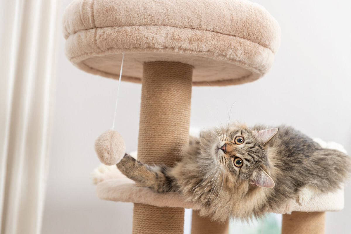 Plüschiger Katzenbaum mit Hängespielzeug, darauf eine getigerte Katze liegend.