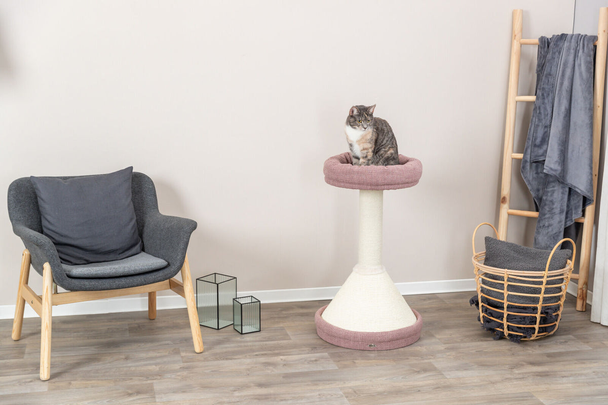 Ein Wohnzimmer mit grauem Sessel, Katze auf rosa Kratzbaum, Holzleiter mit Decke, Korb und Deko auf Holzboden.