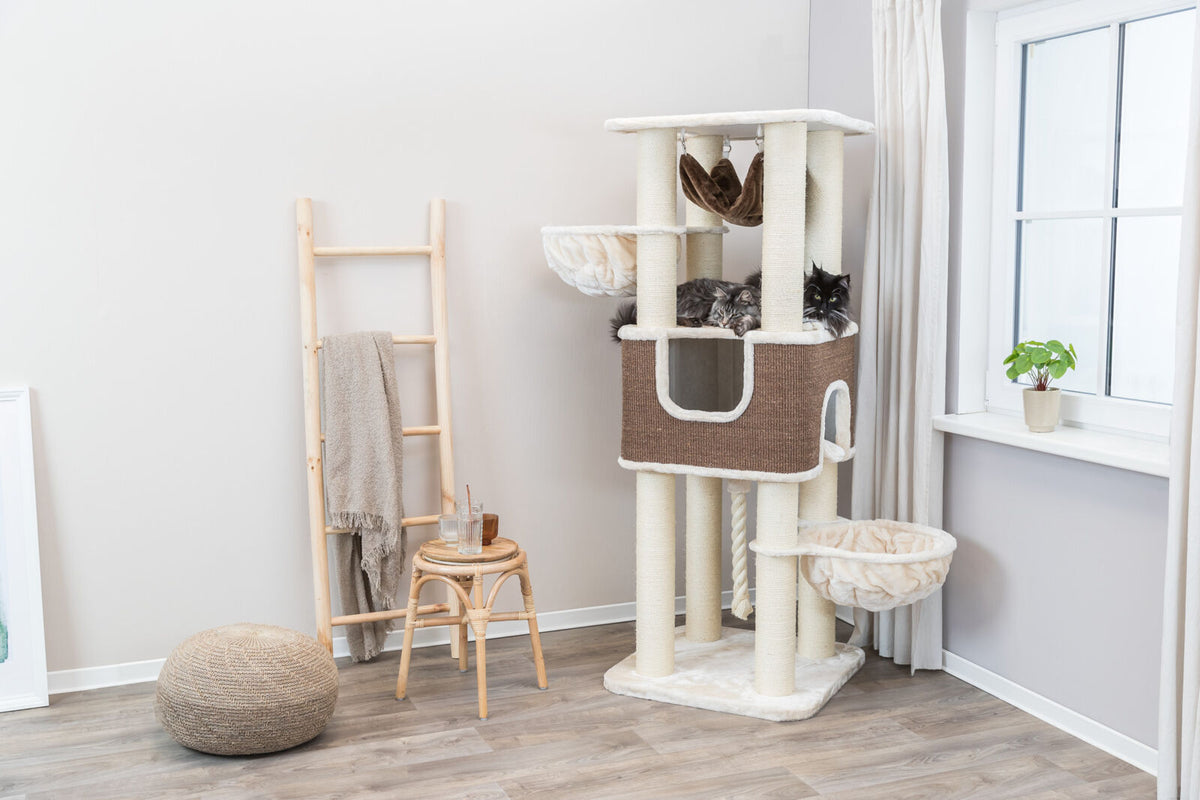 Kratzbaum aus beigem und braunem Stoff mit mehreren Plattformen und zwei Katzen, neben Holzleiter und Hocker.