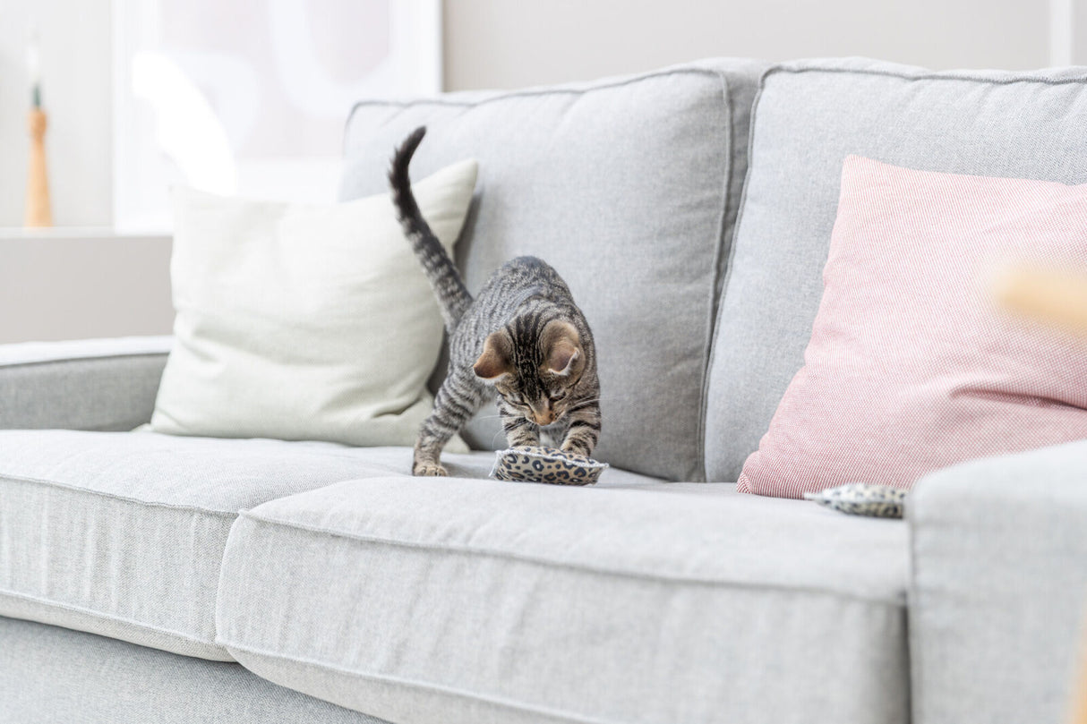 Eine getigerte Katze spielt auf einem grauen Sofa mit einem kleinen Katzenspielzeug.