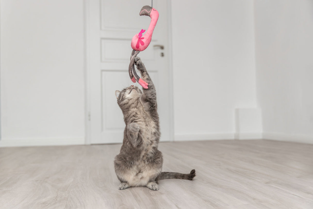 Eine Katze spielt mit einem hängenden rosa Flamingo-Spielzeug in einem hellen Raum.