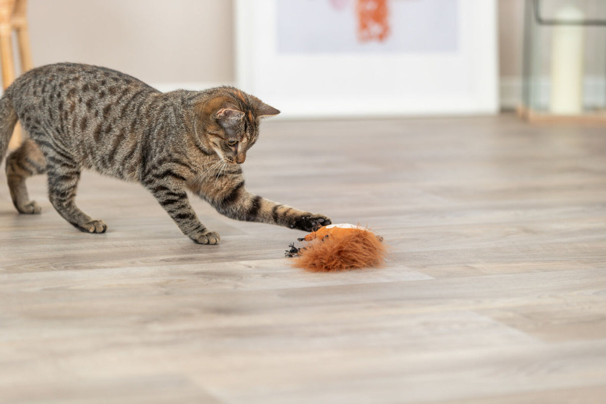 Getigerte Katze auf Holzboden spielt mit einem orangefarbenen, pelzigen Spielzeug.