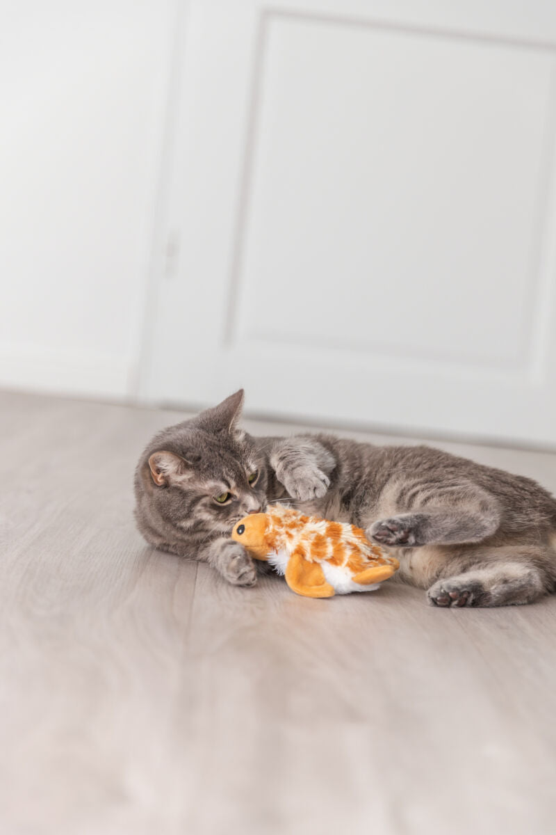 Graue Katze spielt auf Boden mit orange-weißem Plüschspielzeug.