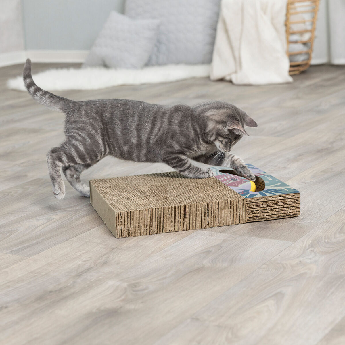 Graue Katze spielt auf einem rechteckigen, flachen Kratzbrett aus Karton mit bunten Elementen auf der Oberfläche.