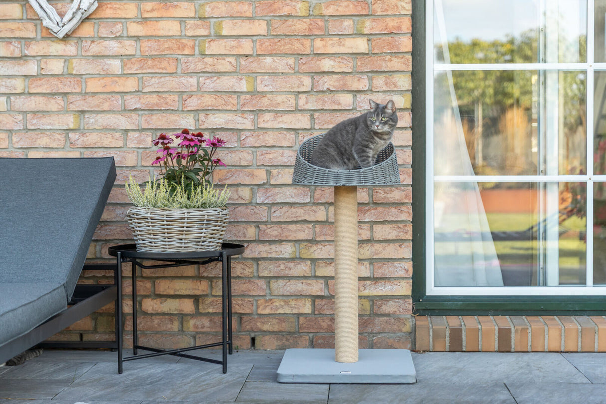 Graue Katze sitzt auf einem Kratzbaum neben einem Blumentopf vor einer Backsteinmauer.