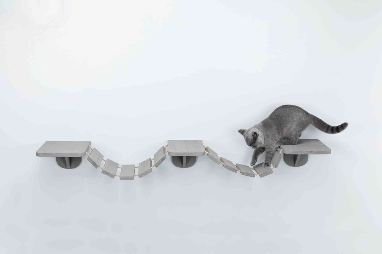 Graue Katze auf einer hängenden, grauen Plattform mit beweglicher Brücke zwischen den Plattformen in minimalistischem Raum.