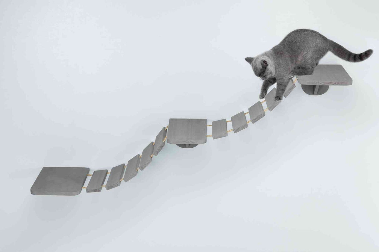 Graue Katze balanciert auf einer gewellten Hängebrücke aus Holz mit quadratischen Platten an einer weißen Wand.
