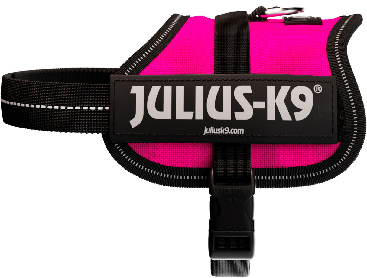 Schwarzes Hundegeschirr mit rosa Akzent und großem Schriftzug "Julius-K9" sowie reflektierenden Streifen.