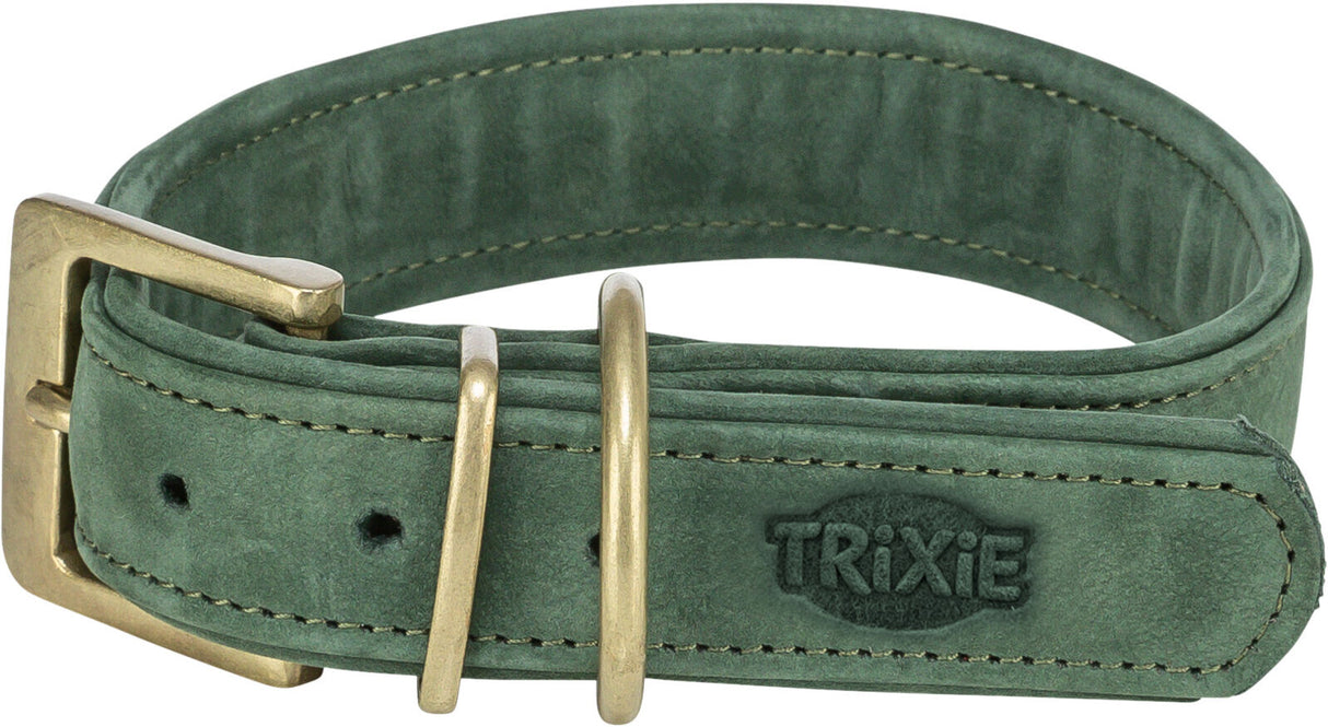 Grüner Hundehalsband aus Leder mit goldfarbener Metallschnalle und dem Schriftzug "TRIXIE" auf der Seite.