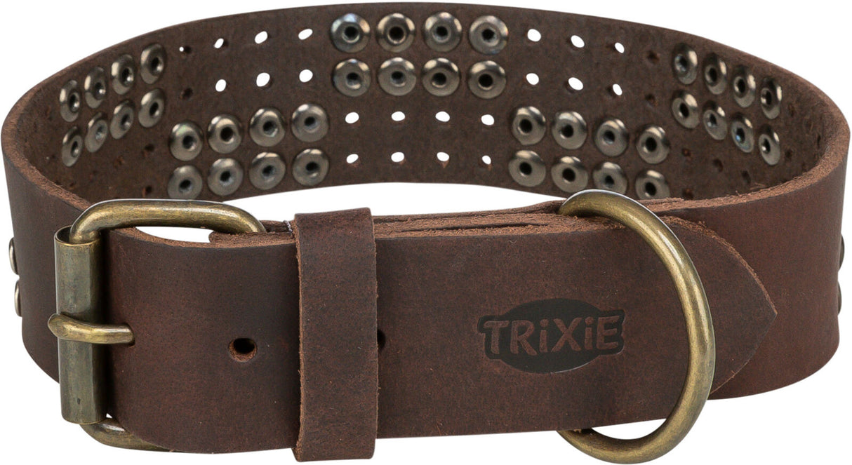 Braunes Lederhalsband mit metallischen Ösen und Schnalle, Markenlogo "TRIXIE" sichtbar.