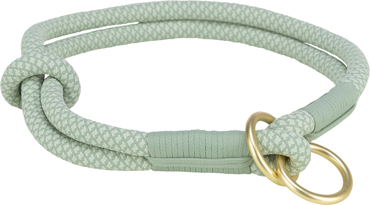 Hellgrünes, geflochtenes Hundehalsband mit goldfarbenen Metallringen in einem schlichten Design.