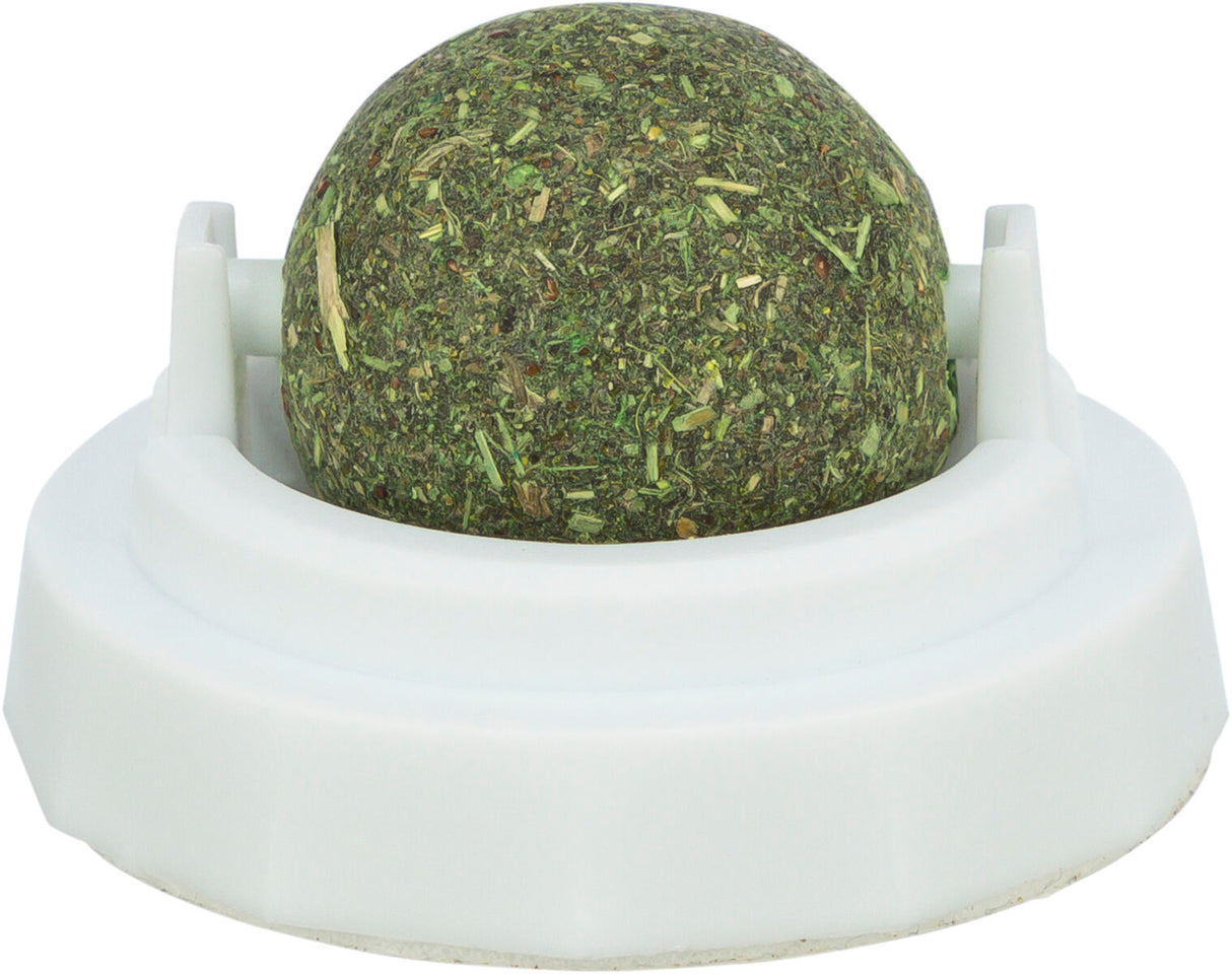 Ein runder, dicht gepackter Ball aus grünem Material liegt in einer weißen, kreisförmigen Halterung.