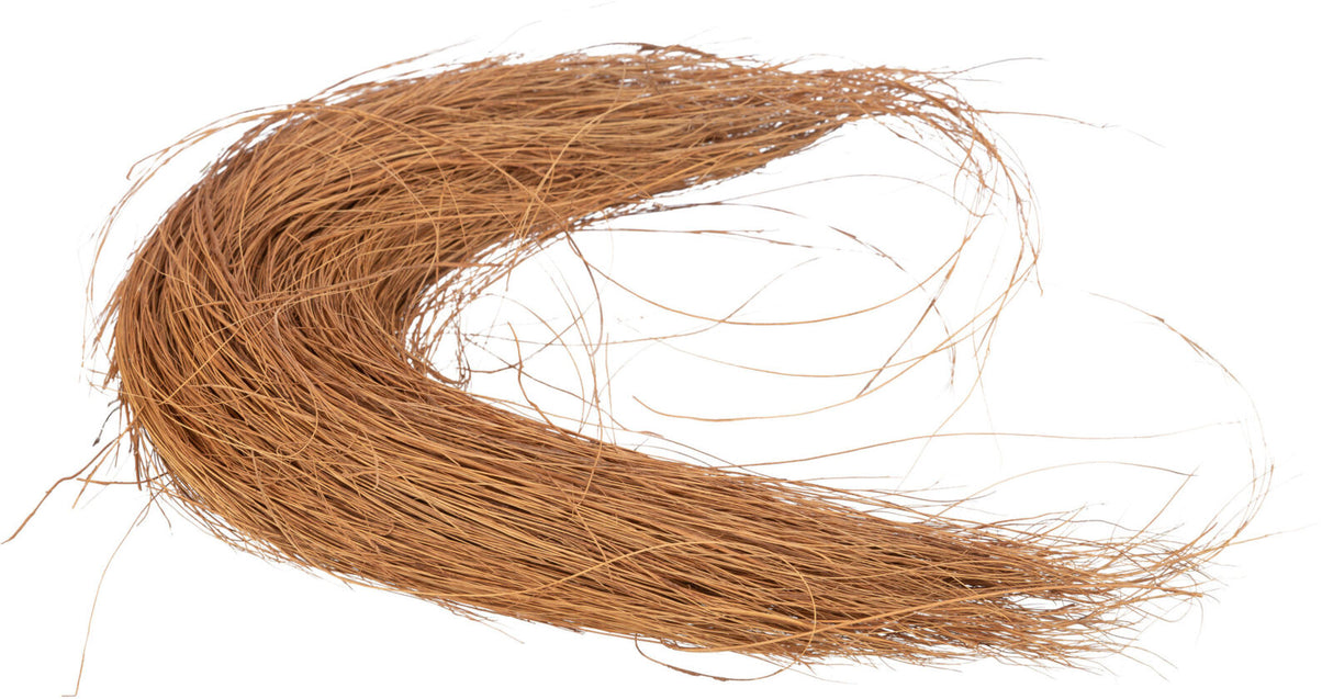 Gebogenes Bündel aus dünnen, braunen Fasern ähnlich getrocknetem Gras auf weißem Hintergrund.
