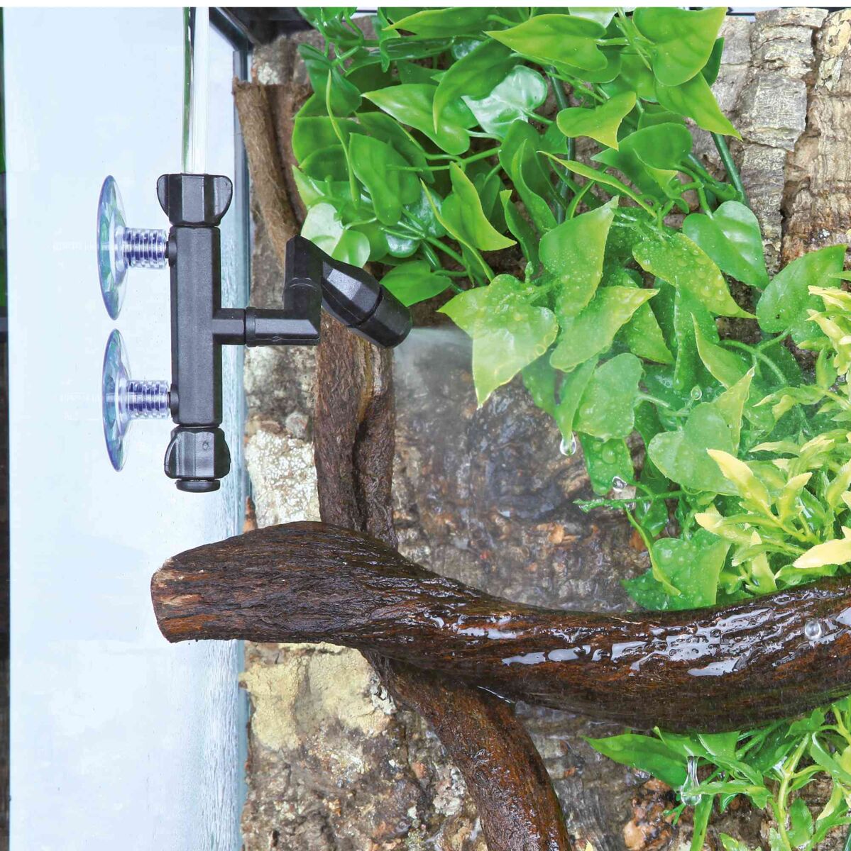 Schwarzer Halter mit Saugnäpfen an Glas befestigt, daneben grüne Blätter und ein gebogenes, nasses Holzstück.