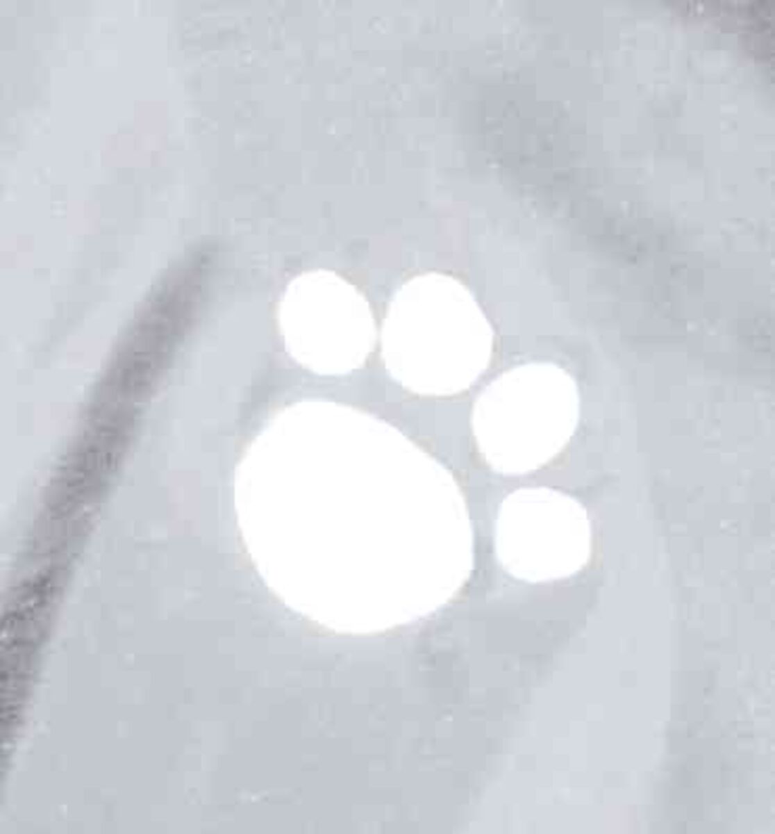 Weiße Pfotenabdruckform auf grauem Hintergrund.