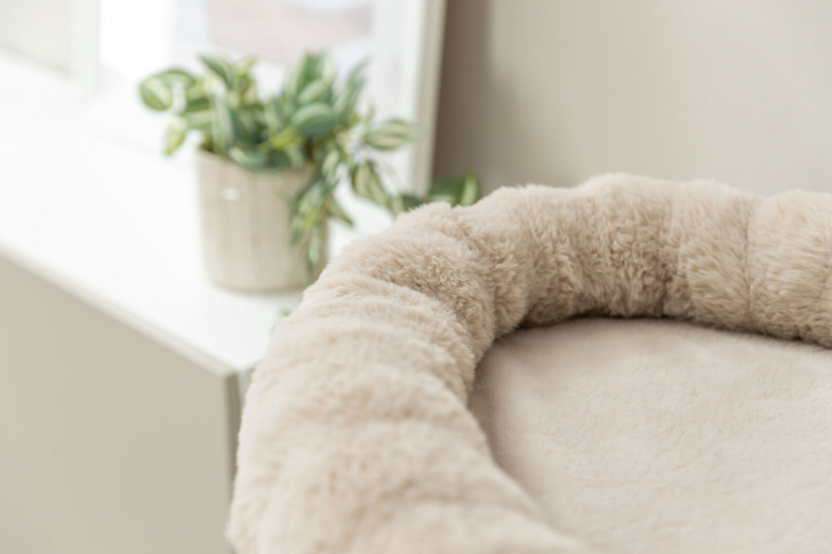 Flauschiges, cremefarbenes Bett neben einer Pflanze auf einem Fensterbrett.