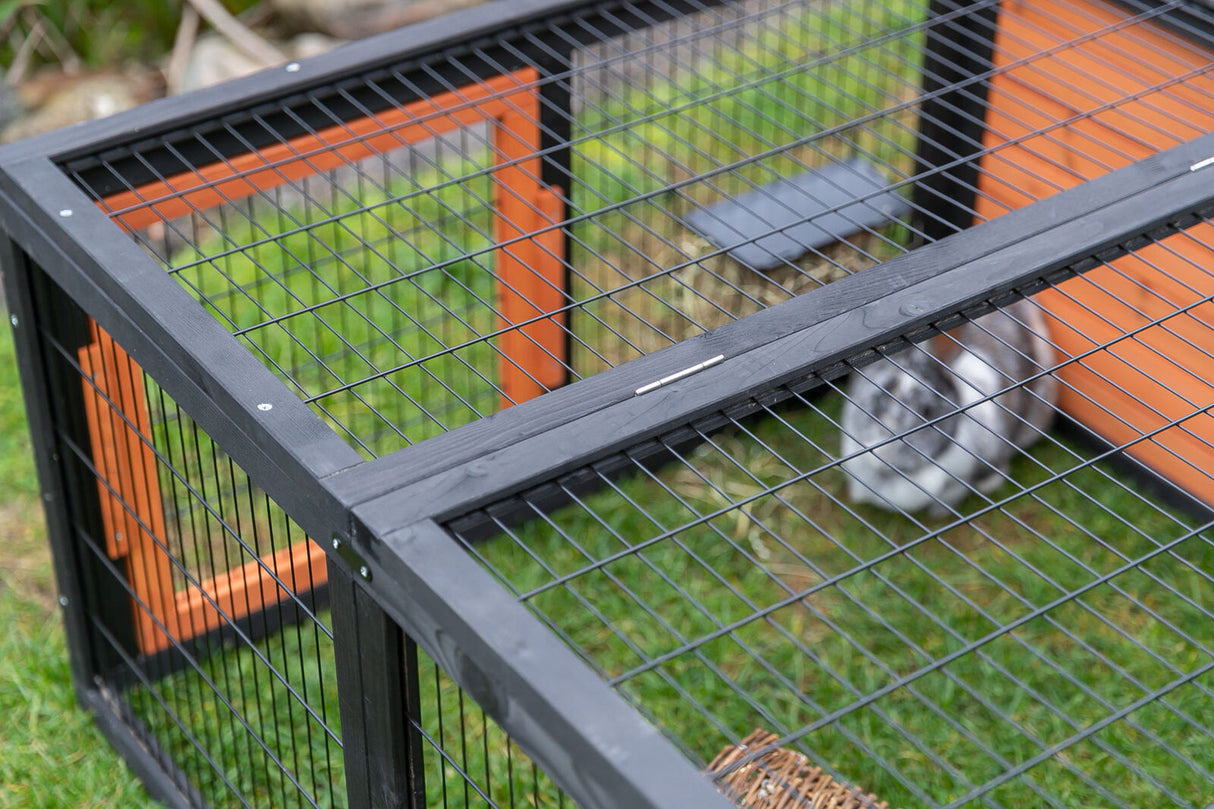 Schwarzes Gittergehege mit rotem Akzent auf grünem Gras, im Gehege sitzt ein grau-weißes Kaninchen.