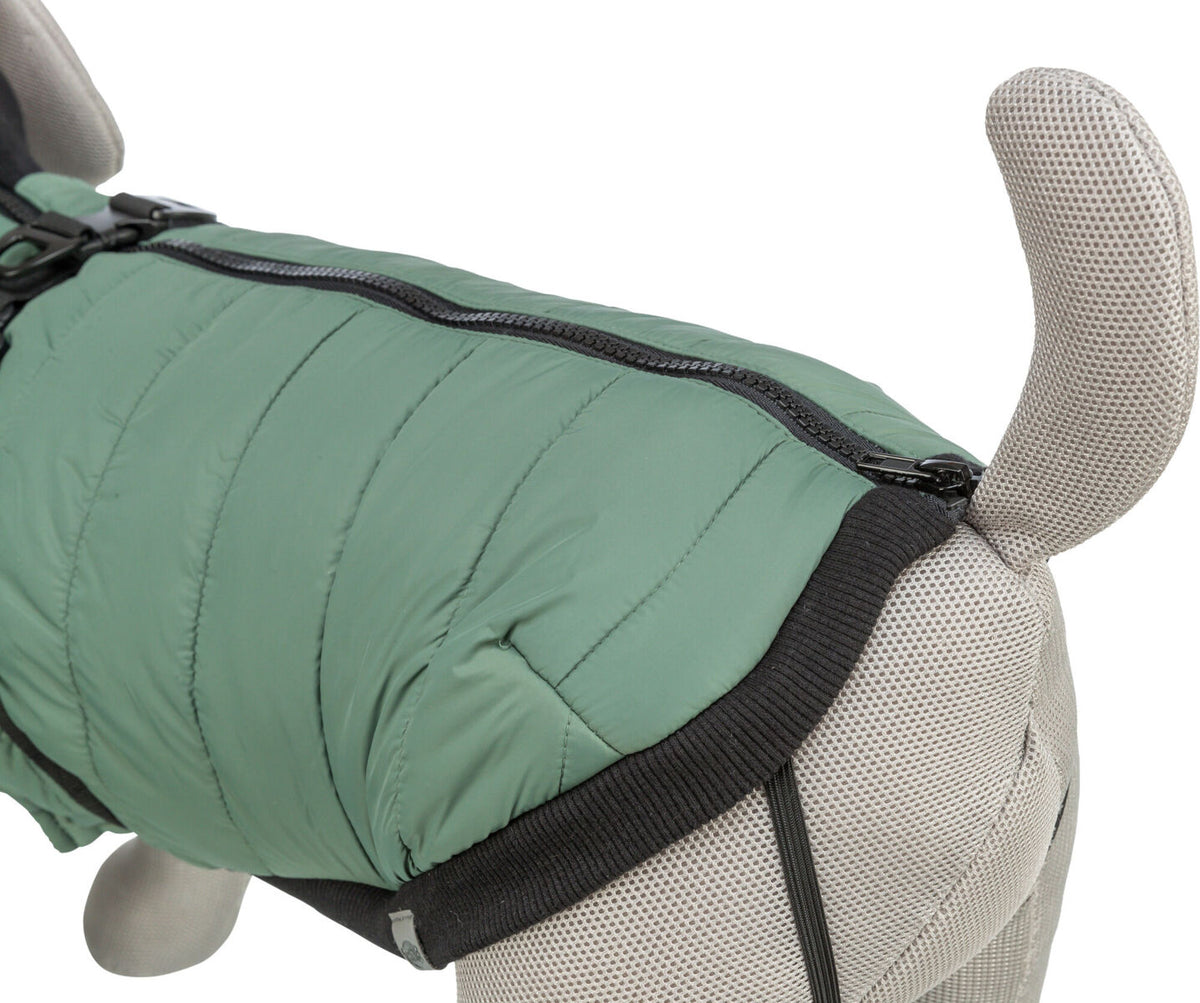 Grüne Hundejacke mit Reißverschluss auf einem grauen Hundemodell.