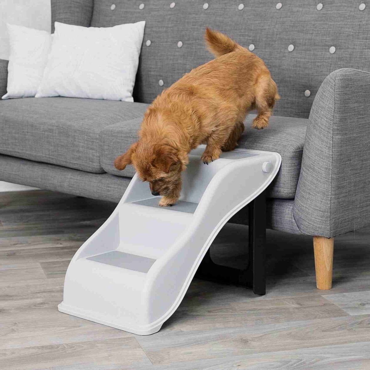 Ein kleiner Hund steigt eine weiße, dreistufige Haustiertreppe hinunter, neben einem grauen Sofa auf Holzfußboden.