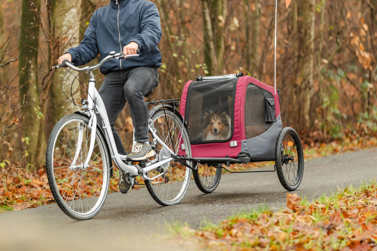 Person fährt Fahrrad mit rot-schwarzem Hundeanhänger, in dem ein Hund sitzt, auf einem Waldweg.