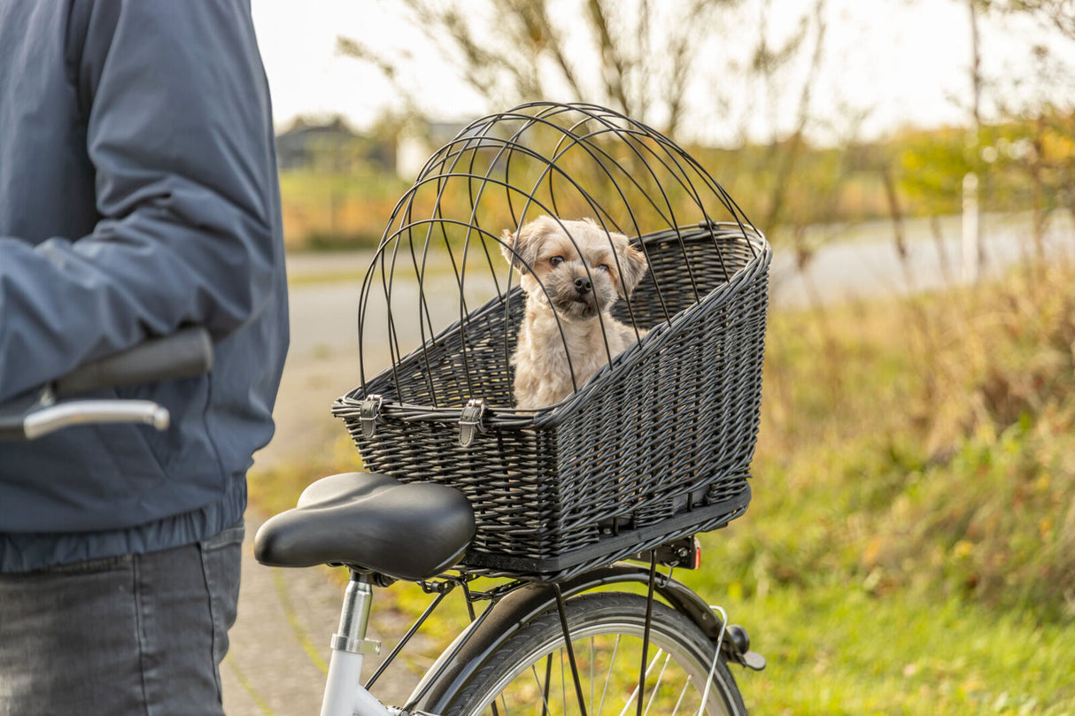 Kleiner Hund sitzt in einem schwarzen Fahrradkorb mit Gitter auf einem Fahrrad im Freien.