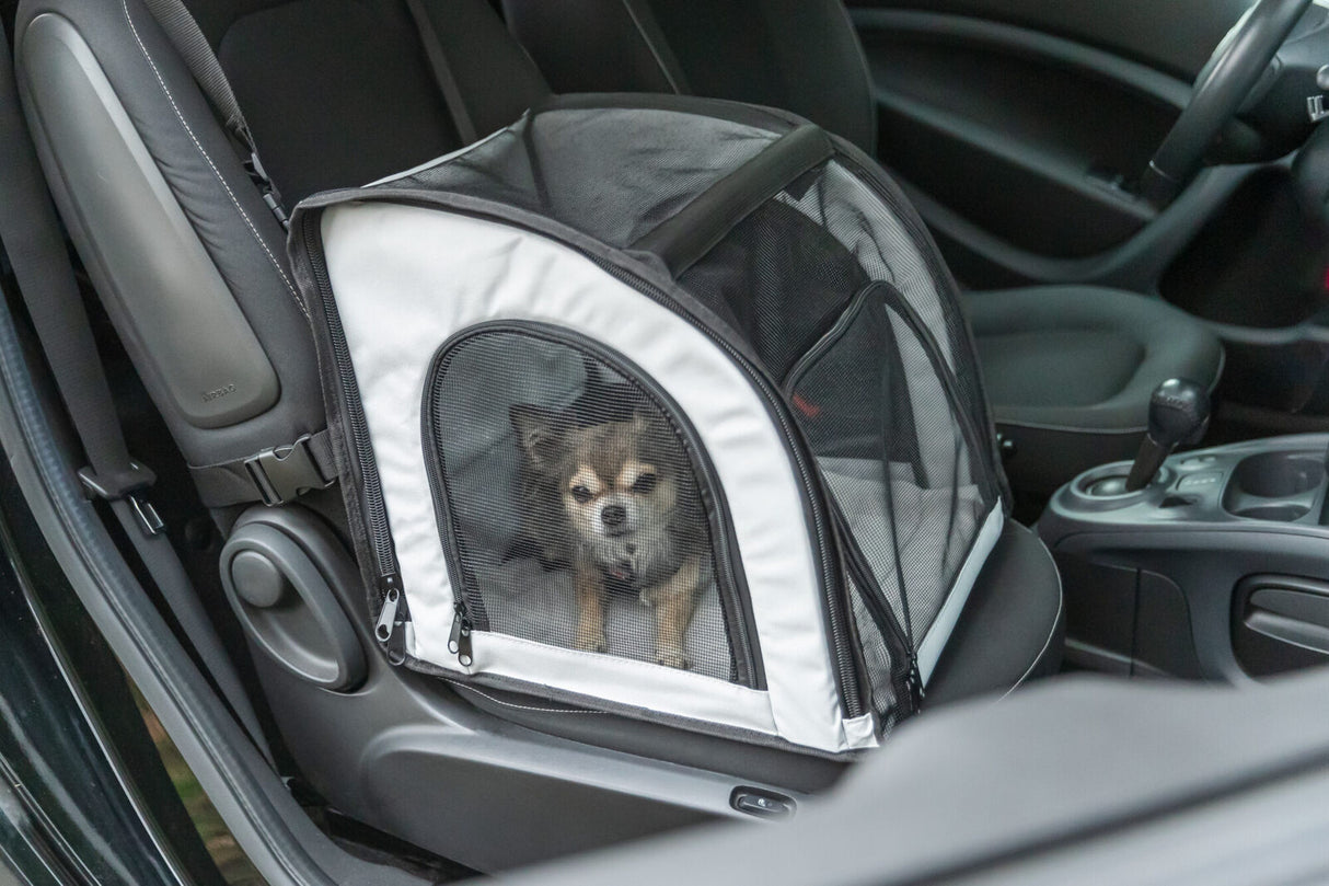 Kleiner Hund sitzt in schwarzer und weißer Transporttasche auf Autositz.