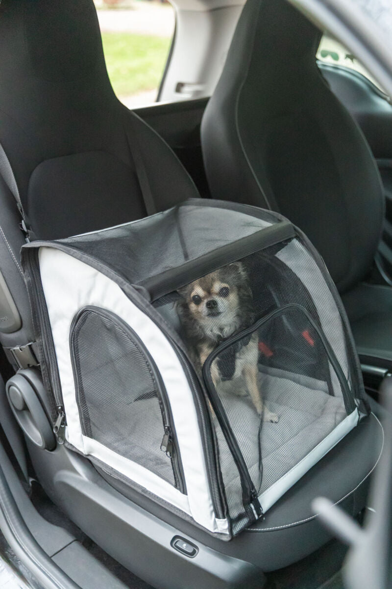 Ein kleiner Hund sitzt in einem Transportkorb auf dem Beifahrersitz eines Autos.
