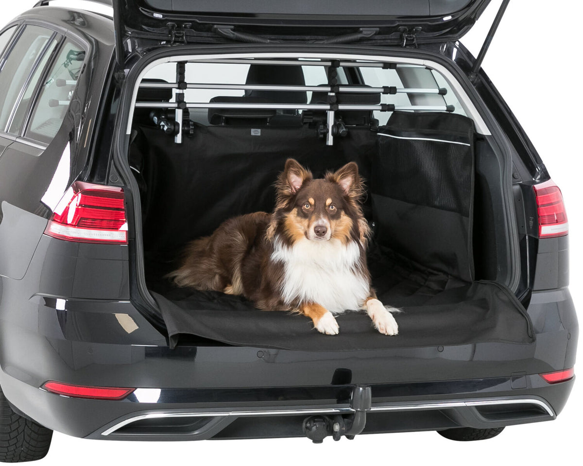 Ein Hund liegt auf einer schwarzen Schutzmatte im geöffneten Kofferraum eines grauen Autos.