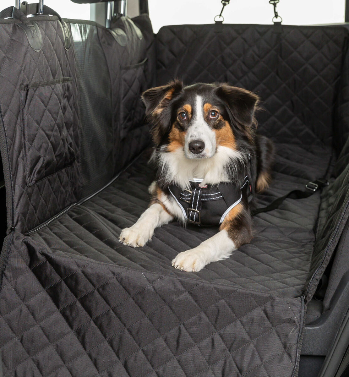 Ein Hund liegt auf einer schwarzen, gesteppten Autoschondecke und trägt ein Geschirr.