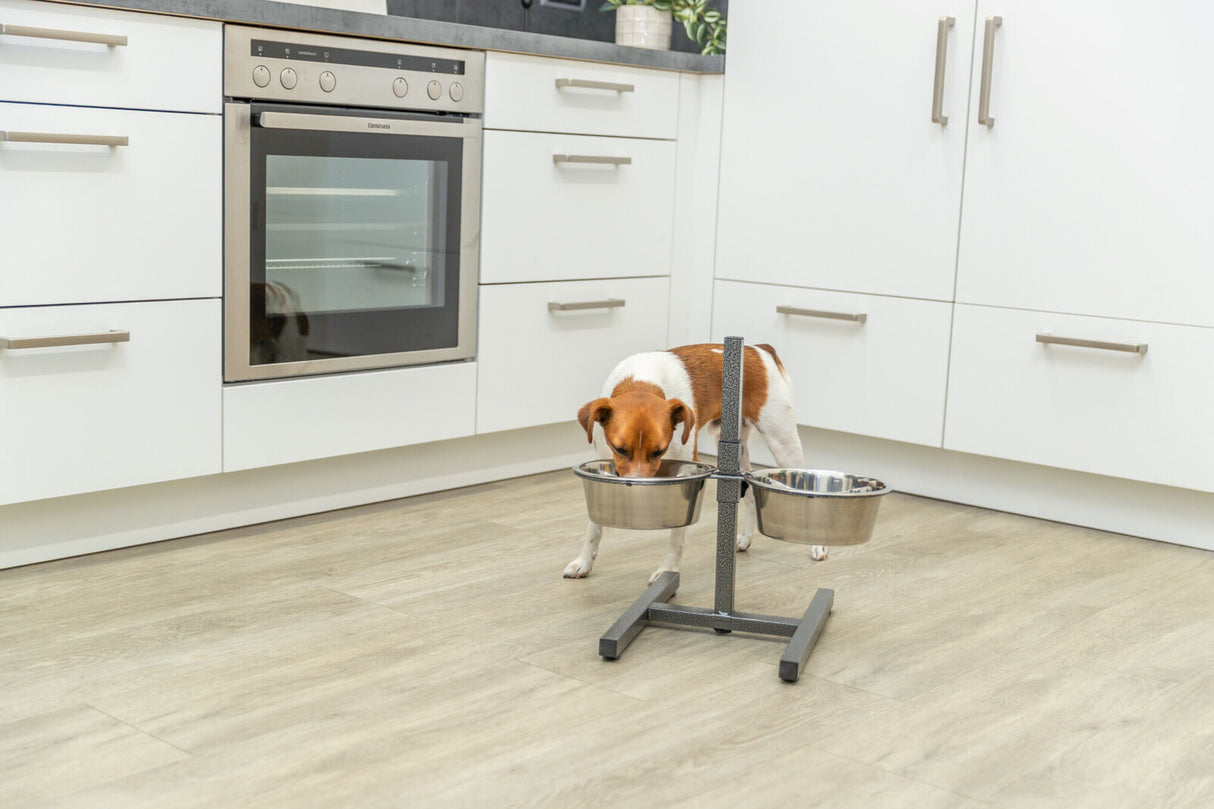 Hund trinkt aus einem von zwei erhöhten Metallnäpfen in einer modernen Küche mit weißen Schränken und Holzboden.