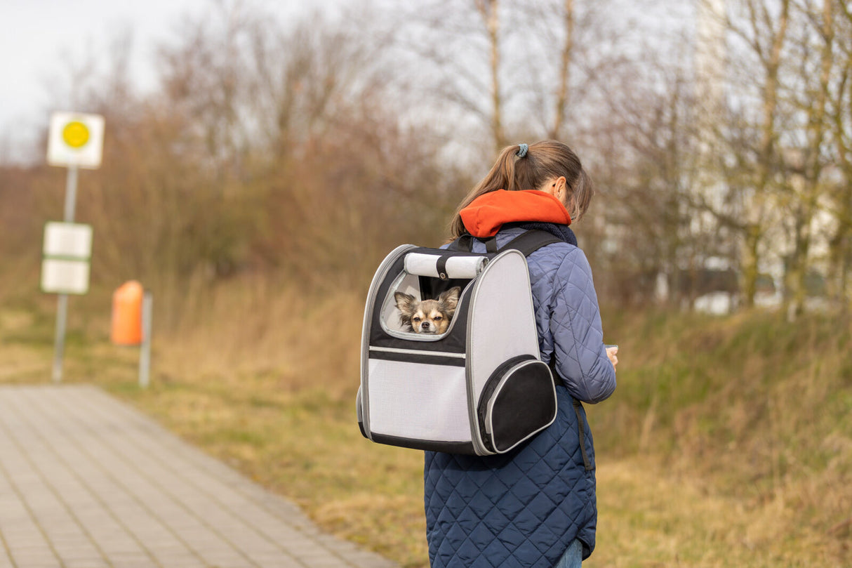 Eine Person in blauer Jacke und orangefarbenem Kapuzenpullover trägt einen grauen Rucksack, in dem ein kleiner Hund sitzt.