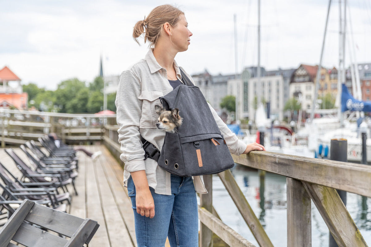 Eine Person steht auf einem Holzsteg neben einem Hafengelände mit Segelbooten, einen schwarzen Rucksack tragend, aus dem ein kleiner Hund schaut.