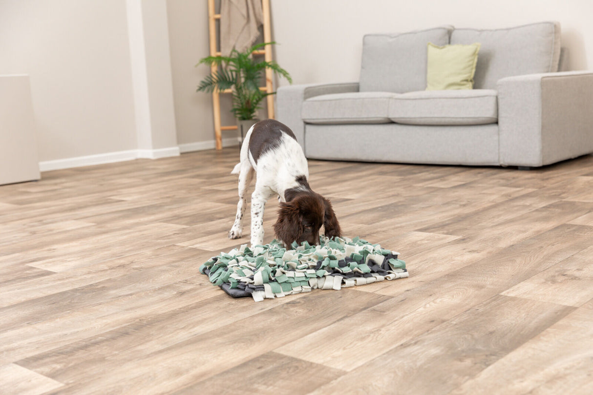 Hund schnüffelt auf grün-weißer Schnüffelmatte in einem Raum mit Holzboden und einem grauen Sofa.